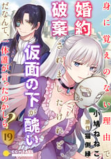 身に覚えのない理由で婚約破棄されましたけれど、仮面の下が醜いだなんて、一体誰が言ったのかしら？ / 19