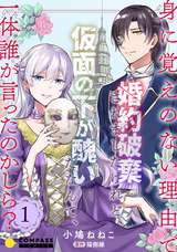 身に覚えのない理由で婚約破棄されましたけれど、仮面の下が醜いだなんて、一体誰が言ったのかしら？【限定書きおろし小説付きコミックス版】