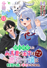 婚約破棄したお馬鹿な王子はほっといて、悪役令嬢は精霊の森で幸せになります。【分冊版】 / 12