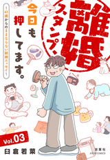 離婚スタンプ、今日も押してます。～41歳からのままならない結婚エッセイ～ / 3