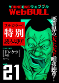 WebBULL