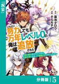 どれだけ努力しても万年レベル0の俺は追放された～神の敵と呼ばれた少年は、社畜女神と出会って最強の力を手に入れる～【分冊版】(ノヴァコミックス) / 5