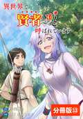 異世界で『賢者……の石』と呼ばれています【分冊版】 / 13