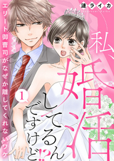 私、婚活してるんですけど!?～エリート御曹司がなぜか離してくれないワケ～