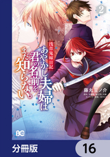 浅草鬼嫁日記 あやかし夫婦は君の名前をまだ知らない。【分冊版】 / 16