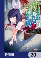 ぼくは異世界で付与魔法と召喚魔法を天秤にかける【分冊版】 / 20