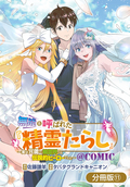 無能と呼ばれた『精霊たらし』～実は異能で、精霊界では伝説的ヒーローでした～＠COMIC【分冊版】 / 11