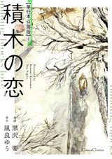 積木の恋【単行本 分冊版】 / 3