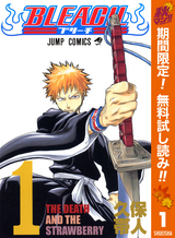 Bleach モノクロ版 48巻 無料 試し読みも 漫画 電子書籍のソク読み Burihtimon 001