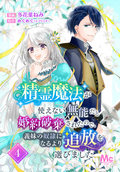 精霊魔法が使えない無能だと婚約破棄されたので、義妹の奴隷になるより追放を選びました / 4