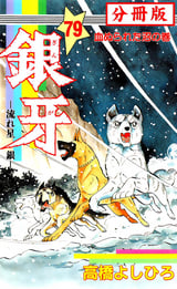 銀牙―流れ星 銀― 【分冊版】 / 79